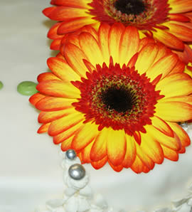 Bäckerei - Konditorei Meier - Bettswil