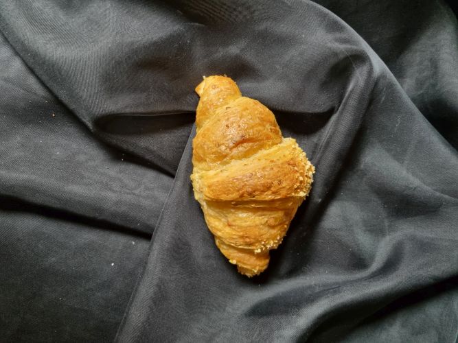 Beck Meier